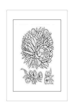 Stamps - Couture Creations - Mixed Natives