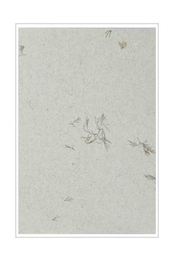 A4 - Handmade Papers - Indian - Herbs - Dill Green