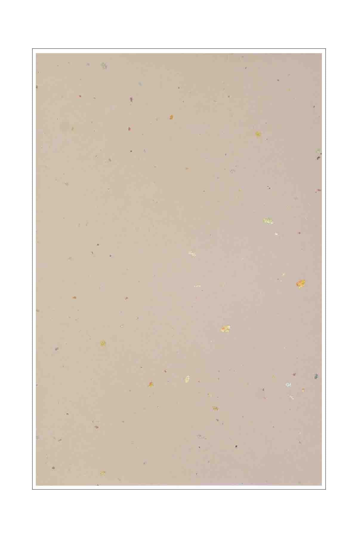 A4 Handmade Papers Japanese Gold Foil Beige A Paper Experience