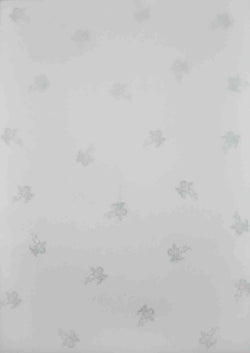 Translucent Papers / Vellum - A Paper Experience