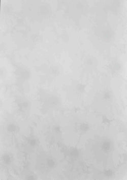 A4 - Patterned Paper, Double Sided - Gerbera - Silver / White - A Paper Experience