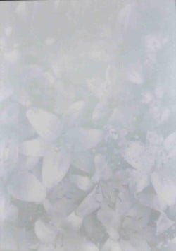 A4 - Translucent / Vellum - Patterned - Oriental Lily - Silver / Silver - A Paper Experience