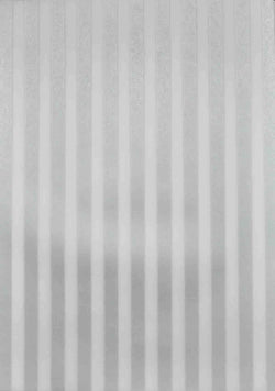 A4 - Translucent / Vellum - Patterned - Stripes - Silver and Sheer - A Paper Experience
