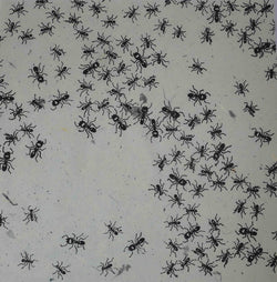 12 x 12 - Patterned - Animals - Ants - A Paper Experience