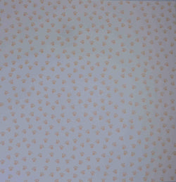 12 x 12 - Patterned - Animals - Paws (White/Apricot Orange) - A Paper Experience